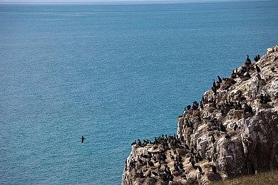 《暗黑破坏神4》后期封测实机泄露 暴雪叫别泄露他们偏泄露